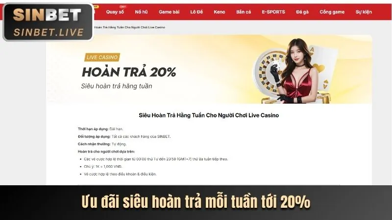 Ưu đãi độc quyền đăng ký